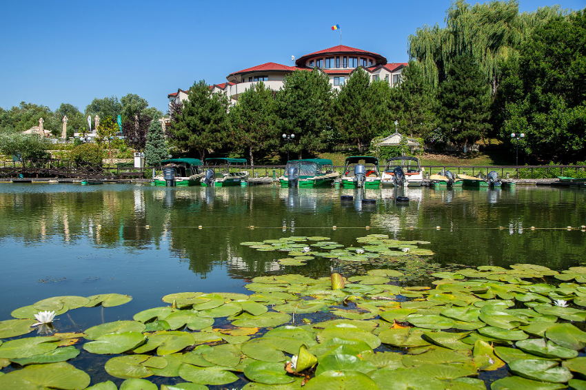 Hotel New Egreta