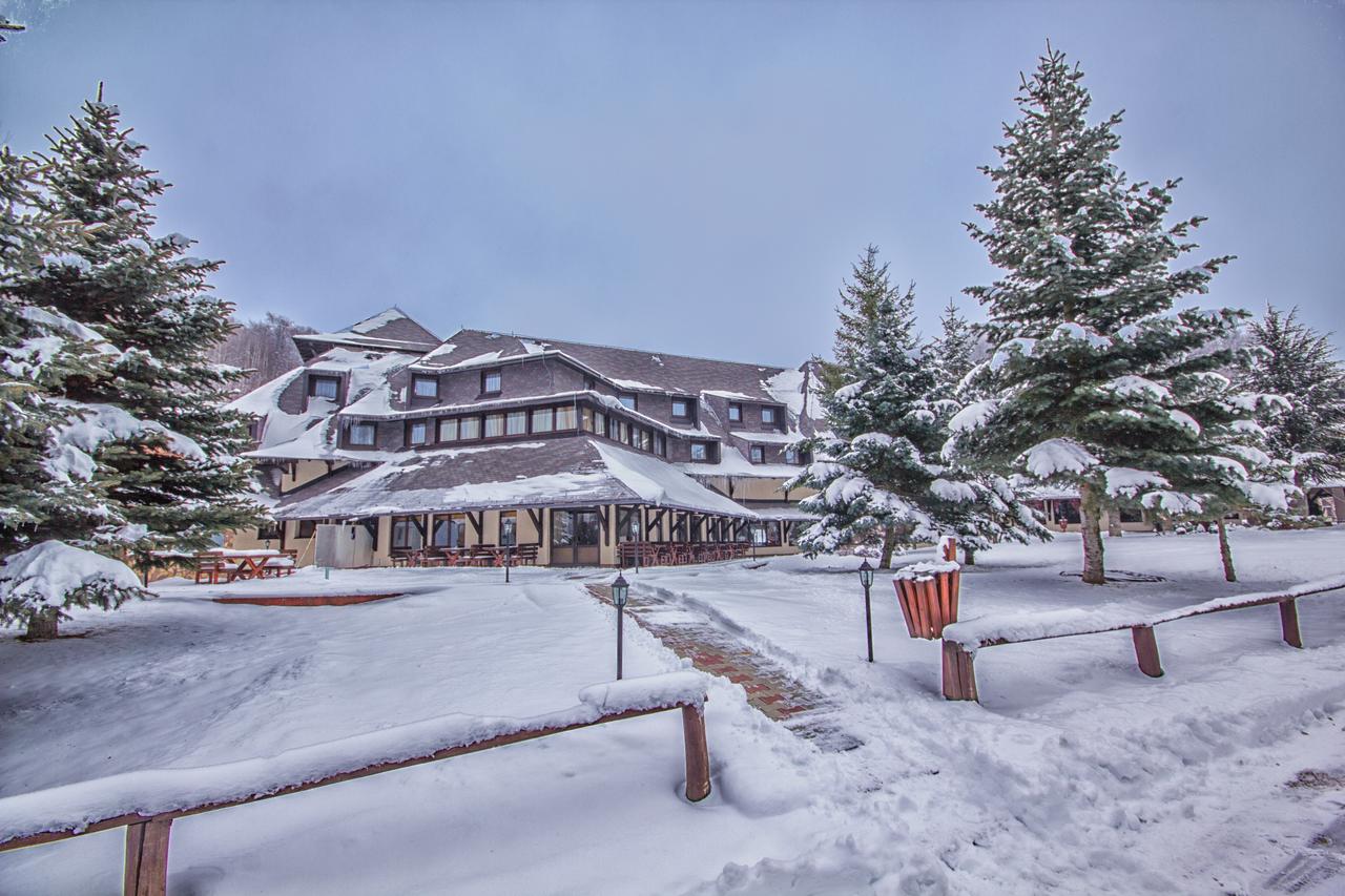 Hotel Junior