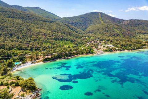 Blog Alohotels